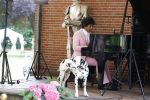 Diepenheim 31 juli 2022
Wibi Soerjadi krijgt na een tuinconcert in de tuin van zij n huis een koninklijke onderscheiding . Zijn nieuwe vriendin Myrthe is aanwezig .