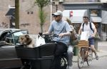 Amsterdam 14 juli 2023
Davy Klaassen met vriendin en hond op de bakfiets in Amsterdam zuid.