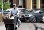 Amsterdam 14 juli 2023
Davy Klaassen met vriendin en hond op de bakfiets in Amsterdam zuid.