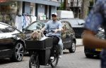 Amsterdam 14 juli 2023
Davy Klaassen met vriendin en hond op de bakfiets in Amsterdam zuid.