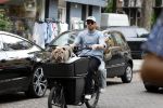 Amsterdam 14 juli 2023
Davy Klaassen met vriendin en hond op de bakfiets in Amsterdam zuid.