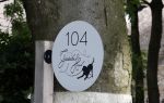Eemnes 17 juli 2023
Gooische Honden