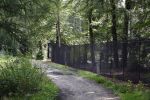 Lage Vuursche 28 juli 2023
Palijs Drakensteyn van prinss Beatrix . De poort is geschilderd en in de tuin staan hekken met donkee doeken voor privacy . Naast het landgoed is een stuk bouwgrond te koop.