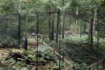 Lage Vuursche 28 juli 2023
Palijs Drakensteyn van prinss Beatrix . De poort is geschilderd en in de tuin staan hekken met donkee doeken voor privacy . Naast het landgoed is een stuk bouwgrond te koop.
