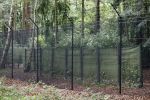 Lage Vuursche 28 juli 2023
Palijs Drakensteyn van prinss Beatrix . De poort is geschilderd en in de tuin staan hekken met donkee doeken voor privacy . Naast het landgoed is een stuk bouwgrond te koop.