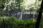 Lage Vuursche 28 juli 2023
Palijs Drakensteyn van prinss Beatrix . De poort is geschilderd en in de tuin staan hekken met donkee doeken voor privacy . Naast het landgoed is een stuk bouwgrond te koop.