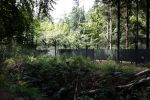 Lage Vuursche 28 juli 2023
Palijs Drakensteyn van prinss Beatrix . De poort is geschilderd en in de tuin staan hekken met donkee doeken voor privacy . Naast het landgoed is een stuk bouwgrond te koop.