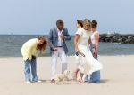 Den haag 30 juni 2023
Fotosessie op het strand Koning Willem Alexander, koningin Maxima en prinses Ariane, Prinses  Amalia en Prinses Alexia poseren tijdens de fotosessie op het strand met hond mambo.