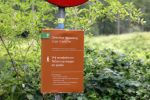 Lage Vuursche 28 juli 2023
Palijs Drakensteyn van prinss Beatrix . De poort is geschilderd en in de tuin staan hekken met donkee doeken voor privacy . Wandelpaden Lage Vuursche