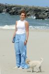 Den haag 30 juni 2023
Fotosessie op het strand Koning Willem Alexander, koningin Maxima en prinses Ariane, Prinses  Amalia en Prinses Alexia poseren tijdens de fotosessie op het strand met hond mambo.
