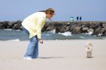 Den haag 30 juni 2023
Fotosessie op het strand Koning Willem Alexander, koningin Maxima en prinses Ariane, Prinses  Amalia en Prinses Alexia poseren tijdens de fotosessie op het strand met hond mambo.