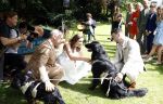 Arnhem 7 juli 2024
Annemarie Bruning en Frits Maeijer trouwen . Hun honden moeder en zoon zijn de getuigen . Marlayne Sahupala in de BAB en zingt verschillende liedjes .