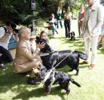 Arnhem 7 juli 2024
Annemarie Bruning en Frits Maeijer trouwen . Hun honden moeder en zoon zijn de getuigen . Marlayne Sahupala in de BAB en zingt verschillende liedjes .