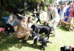 Arnhem 7 juli 2024
Annemarie Bruning en Frits Maeijer trouwen . Hun honden moeder en zoon zijn de getuigen . Marlayne Sahupala in de BAB en zingt verschillende liedjes .