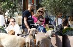 Amsterdam 18 juli 2024
Connie Witteman zit op terras en op dat moment komt de honden fluitseraar voorbij met oa de hond van Connie . Ze ging de hond natuurlijk meteen aaien.