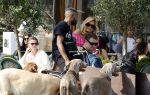 Amsterdam 18 juli 2024
Connie Witteman zit op terras en op dat moment komt de honden fluitseraar voorbij met oa de hond van Connie . Ze ging de hond natuurlijk meteen aaien.
