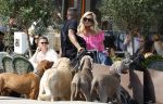 Amsterdam 18 juli 2024
Connie Witteman zit op terras en op dat moment komt de honden fluitseraar voorbij met oa de hond van Connie . Ze ging de hond natuurlijk meteen aaien.