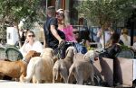 Amsterdam 18 juli 2024
Connie Witteman zit op terras en op dat moment komt de honden fluitseraar voorbij met oa de hond van Connie . Ze ging de hond natuurlijk meteen aaien.
