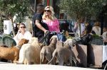 Amsterdam 18 juli 2024
Connie Witteman zit op terras en op dat moment komt de honden fluitseraar voorbij met oa de hond van Connie . Ze ging de hond natuurlijk meteen aaien.