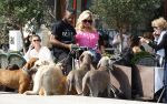 Amsterdam 18 juli 2024
Connie Witteman zit op terras en op dat moment komt de honden fluitseraar voorbij met oa de hond van Connie . Ze ging de hond natuurlijk meteen aaien.
