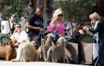 Amsterdam 18 juli 2024
Connie Witteman zit op terras en op dat moment komt de honden fluitseraar voorbij met oa de hond van Connie . Ze ging de hond natuurlijk meteen aaien.