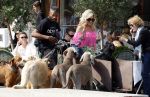 Amsterdam 18 juli 2024
Connie Witteman zit op terras en op dat moment komt de honden fluitseraar voorbij met oa de hond van Connie . Ze ging de hond natuurlijk meteen aaien.