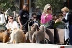 Amsterdam 18 juli 2024
Connie Witteman zit op terras en op dat moment komt de honden fluitseraar voorbij met oa de hond van Connie . Ze ging de hond natuurlijk meteen aaien.