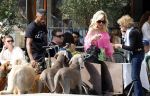 Amsterdam 18 juli 2024
Connie Witteman zit op terras en op dat moment komt de honden fluitseraar voorbij met oa de hond van Connie . Ze ging de hond natuurlijk meteen aaien.