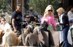 Amsterdam 18 juli 2024
Connie Witteman zit op terras en op dat moment komt de honden fluitseraar voorbij met oa de hond van Connie . Ze ging de hond natuurlijk meteen aaien.