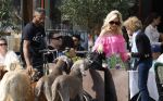 Amsterdam 18 juli 2024
Connie Witteman zit op terras en op dat moment komt de honden fluitseraar voorbij met oa de hond van Connie . Ze ging de hond natuurlijk meteen aaien.