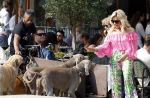 Amsterdam 18 juli 2024
Connie Witteman zit op terras en op dat moment komt de honden fluitseraar voorbij met oa de hond van Connie . Ze ging de hond natuurlijk meteen aaien.