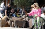 Amsterdam 18 juli 2024
Connie Witteman zit op terras en op dat moment komt de honden fluitseraar voorbij met oa de hond van Connie . Ze ging de hond natuurlijk meteen aaien.