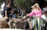 Amsterdam 18 juli 2024
Connie Witteman zit op terras en op dat moment komt de honden fluitseraar voorbij met oa de hond van Connie . Ze ging de hond natuurlijk meteen aaien.