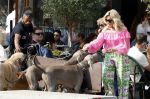 Amsterdam 18 juli 2024
Connie Witteman zit op terras en op dat moment komt de honden fluitseraar voorbij met oa de hond van Connie . Ze ging de hond natuurlijk meteen aaien.
