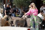 Amsterdam 18 juli 2024
Connie Witteman zit op terras en op dat moment komt de honden fluitseraar voorbij met oa de hond van Connie . Ze ging de hond natuurlijk meteen aaien.