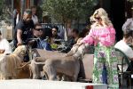 Amsterdam 18 juli 2024
Connie Witteman zit op terras en op dat moment komt de honden fluitseraar voorbij met oa de hond van Connie . Ze ging de hond natuurlijk meteen aaien.
