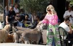 Amsterdam 18 juli 2024
Connie Witteman zit op terras en op dat moment komt de honden fluitseraar voorbij met oa de hond van Connie . Ze ging de hond natuurlijk meteen aaien.