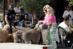 Amsterdam 18 juli 2024
Connie Witteman zit op terras en op dat moment komt de honden fluitseraar voorbij met oa de hond van Connie . Ze ging de hond natuurlijk meteen aaien.