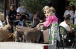 Amsterdam 18 juli 2024
Connie Witteman zit op terras en op dat moment komt de honden fluitseraar voorbij met oa de hond van Connie . Ze ging de hond natuurlijk meteen aaien.