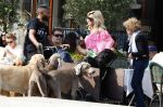Amsterdam 18 juli 2024
Connie Witteman zit op terras en op dat moment komt de honden fluitseraar voorbij met oa de hond van Connie . Ze ging de hond natuurlijk meteen aaien.