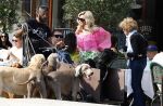 Amsterdam 18 juli 2024
Connie Witteman zit op terras en op dat moment komt de honden fluitseraar voorbij met oa de hond van Connie . Ze ging de hond natuurlijk meteen aaien.
