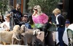 Amsterdam 18 juli 2024
Connie Witteman zit op terras en op dat moment komt de honden fluitseraar voorbij met oa de hond van Connie . Ze ging de hond natuurlijk meteen aaien.