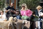 Amsterdam 18 juli 2024
Connie Witteman zit op terras en op dat moment komt de honden fluitseraar voorbij met oa de hond van Connie . Ze ging de hond natuurlijk meteen aaien.