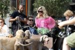 Amsterdam 18 juli 2024
Connie Witteman zit op terras en op dat moment komt de honden fluitseraar voorbij met oa de hond van Connie . Ze ging de hond natuurlijk meteen aaien.