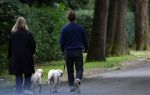Huizen 6 en n7 juli 2024
Linda de Mol en partner Jeroen Rietbergen wandelend met hun honden rondom hun huis .