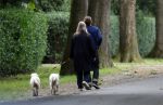 Huizen 6 en n7 juli 2024
Linda de Mol en partner Jeroen Rietbergen wandelend met hun honden rondom hun huis .