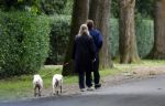 Huizen 6 en n7 juli 2024
Linda de Mol en partner Jeroen Rietbergen wandelend met hun honden rondom hun huis .