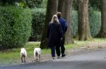 Huizen 6 en n7 juli 2024
Linda de Mol en partner Jeroen Rietbergen wandelend met hun honden rondom hun huis .