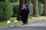 Huizen 6 en n7 juli 2024
Linda de Mol en partner Jeroen Rietbergen wandelend met hun honden rondom hun huis .