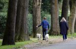 Huizen 6 en n7 juli 2024
Linda de Mol en partner Jeroen Rietbergen wandelend met hun honden rondom hun huis .